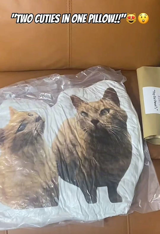 Eddie & Milo’s Perfect Pillow: Crafting Cuteness in Custom Pillow