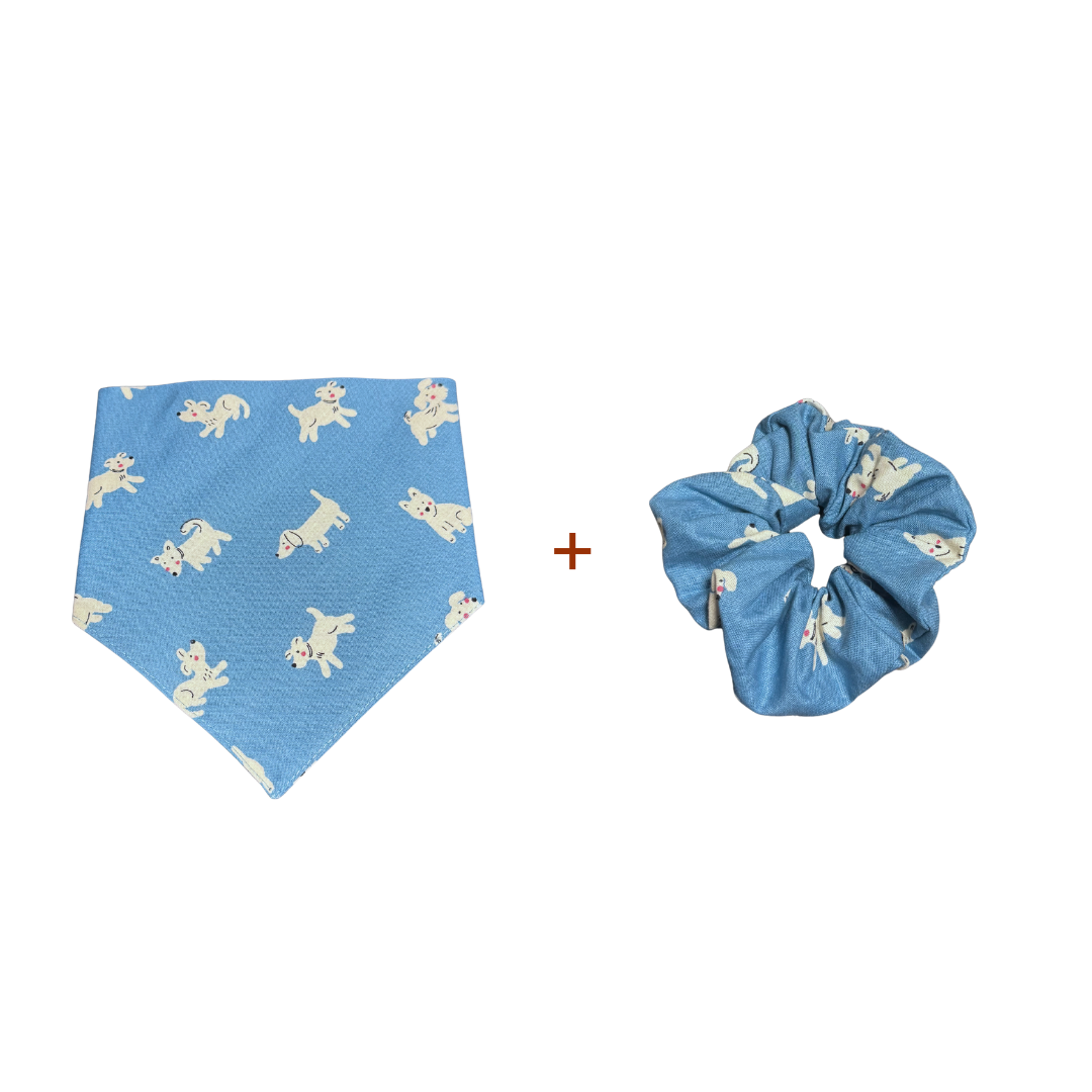 Ocean Blue Pet Bandana