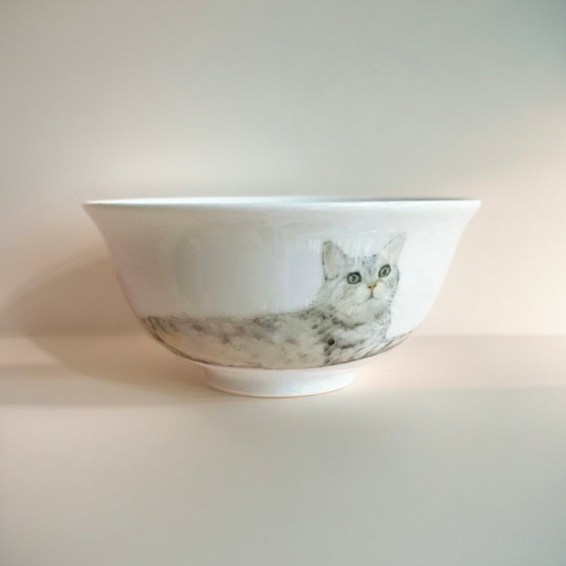 Custom Hand Painted Pet Portrait Bowl