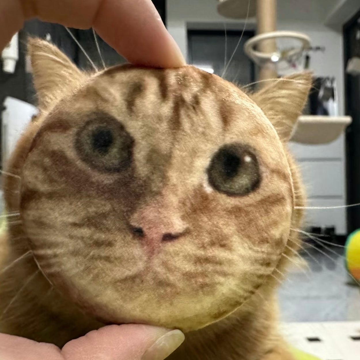 Custom Plush Pet Pin