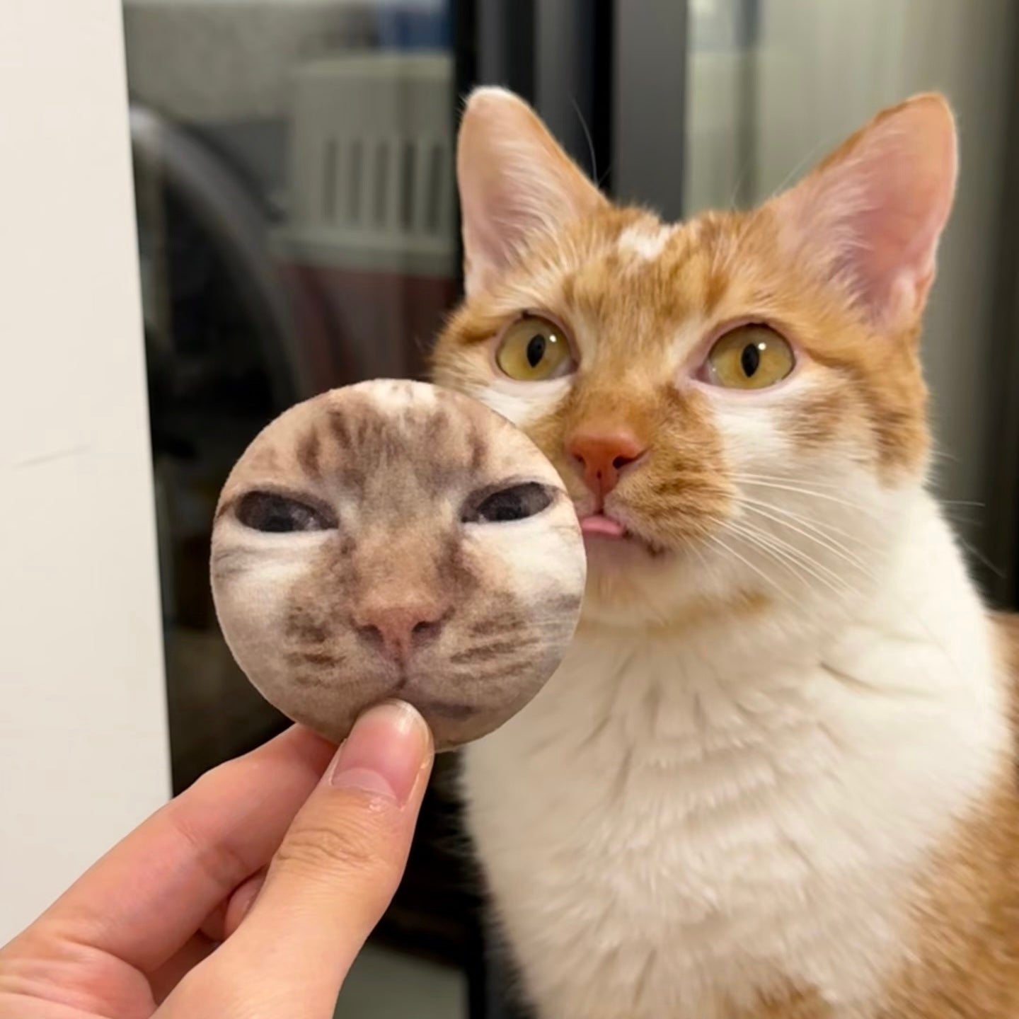 Custom Plush Pet Pin