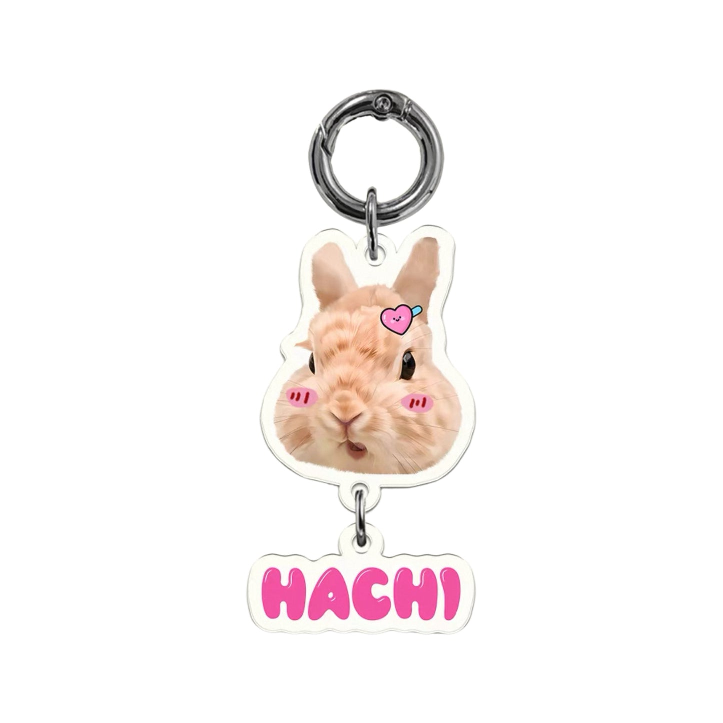 Custom Acrylic Pet Portrait Keychain