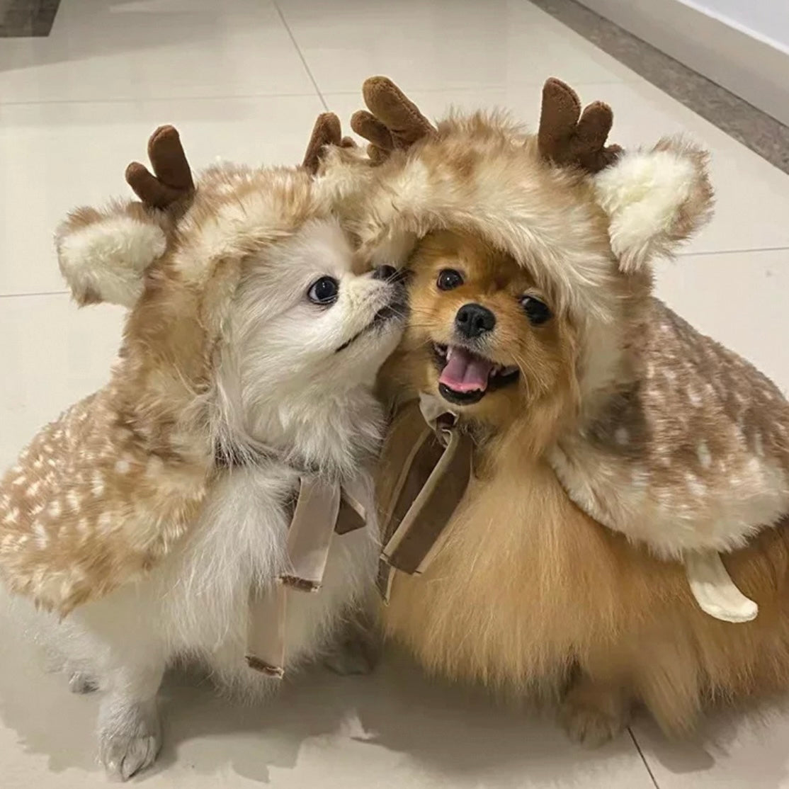 Dog Costume Christmas
Pet Clothes Santa Claus
Pet Christmas Cosplay Costumes
pet Christmas Party Dressing up
Cat Outfit for Christmas