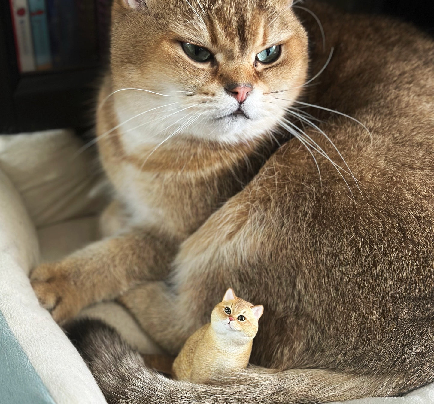 custom figurines
custom cat figurines