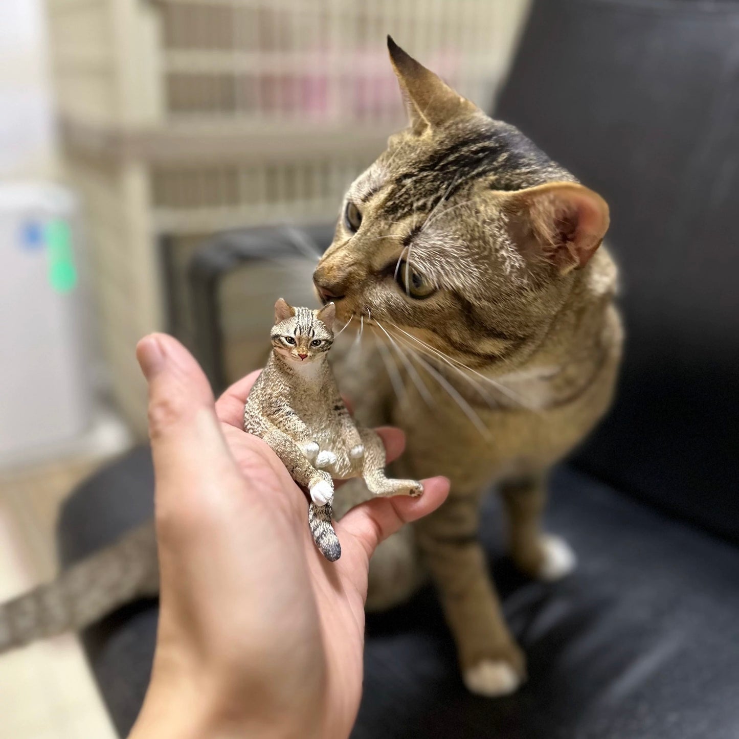 custom figurines
custom cat figurines