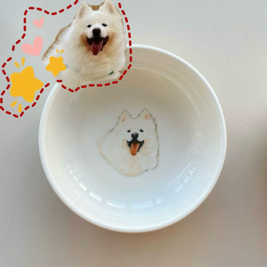 Custom Hand Painted Pet Portrait Bowl