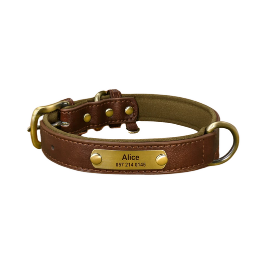 dog collar with name
custom dog collars
dog collars with name