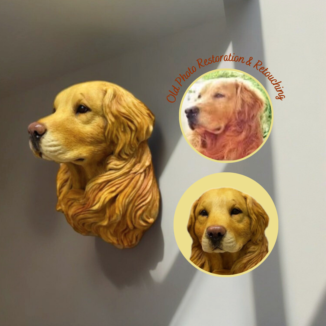 dog magnets
custom cat magnet
cat memorial statue magnet
custom pet figurines magnet
clay dog
custom figurines magnet
pet loss gifts