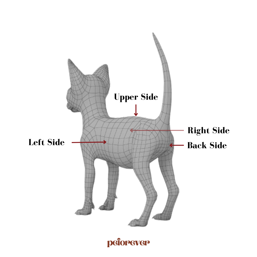 custom pet figurine
dog figurines
custom figurines
clay dog
custom dog statue
custom figurine