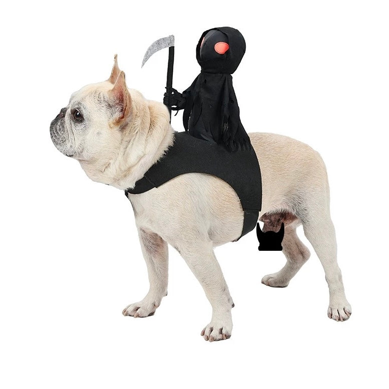 Dog Halloween Costume
Pet Funny Halloween Clothes
Pet Festival Outfits
Cat Cosplay Suit