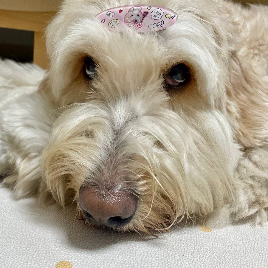 Custom Resin Acrylic Pet Hair Clip