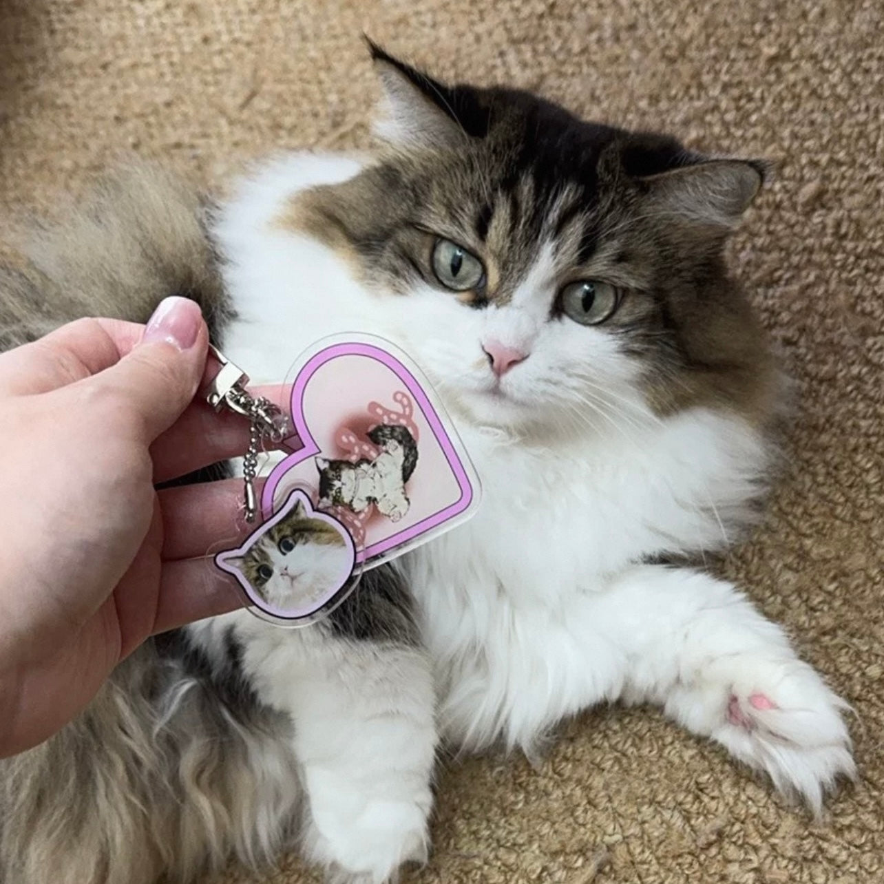 Custom Designed Acrylic Pet Keychain