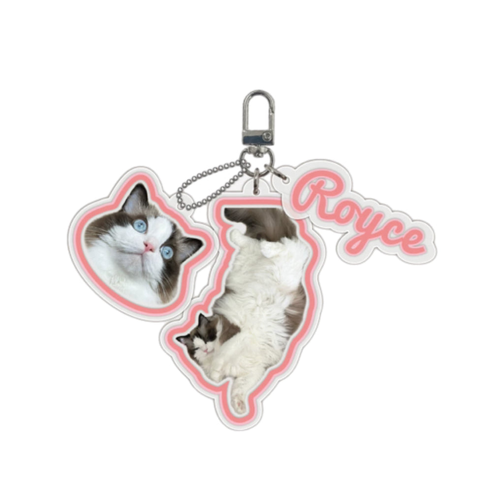 Custom Designed Acrylic Pet Keychain