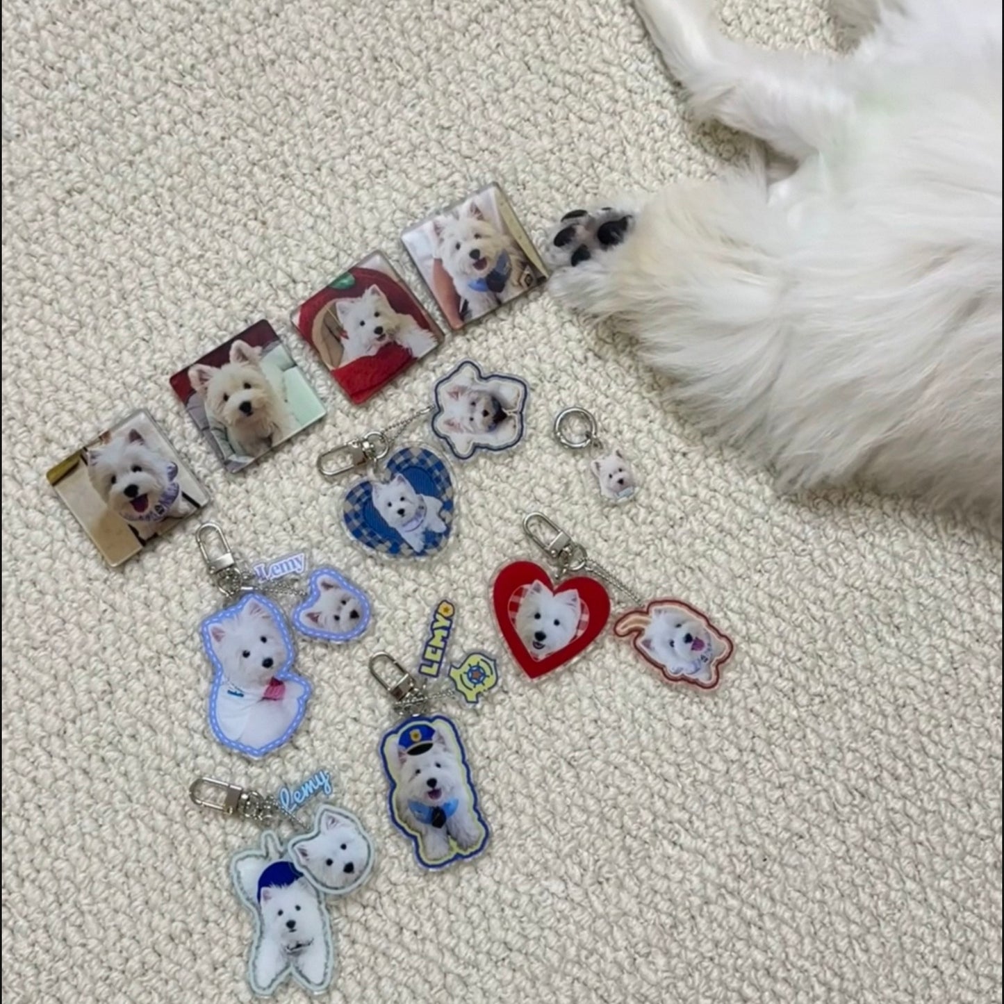 Custom Designed Acrylic Pet Keychain