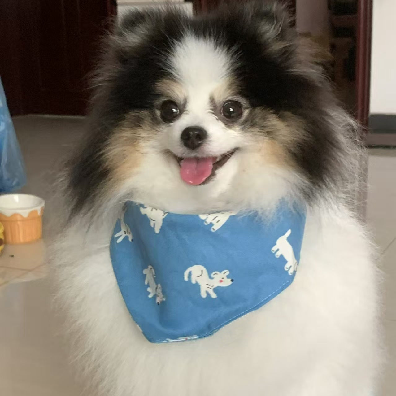 dog birthday bandana
blue bandana
blue dog bandana
blue cat bandana
blue handmade bandana