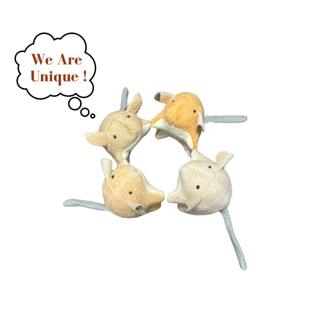 cat toy
pet toy
Catnip Toys
cat Catnip Toys