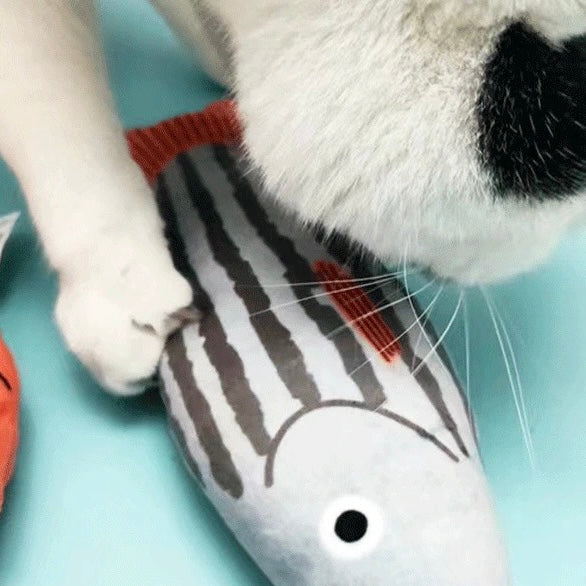 cat toy
pet toy
Catnip Toys
cat Catnip Toys