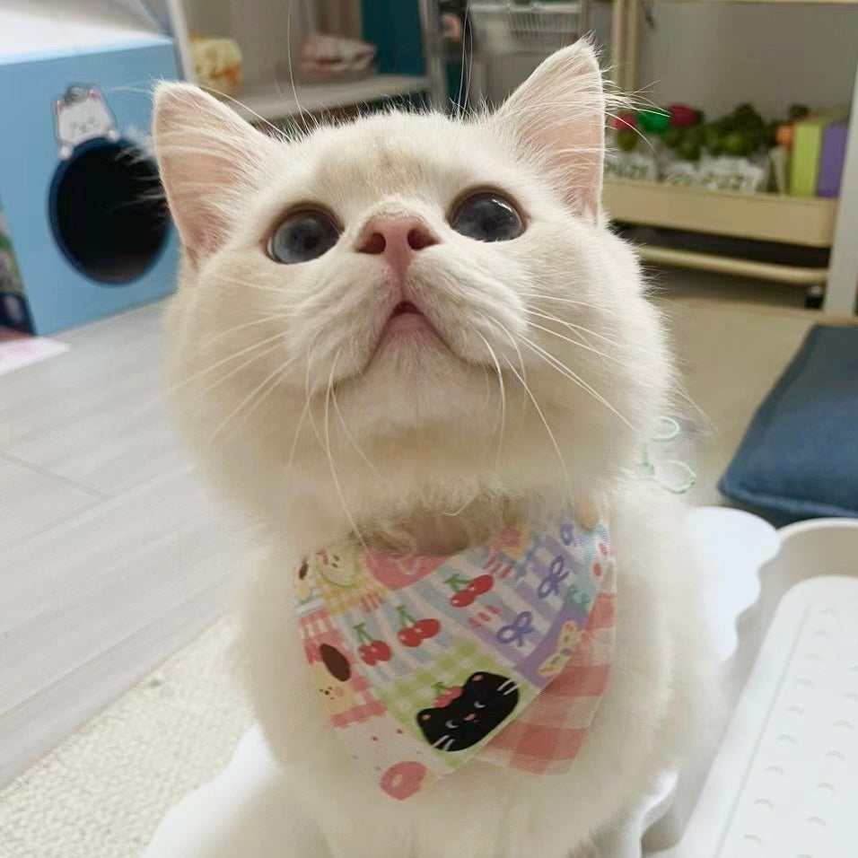 cat bandana