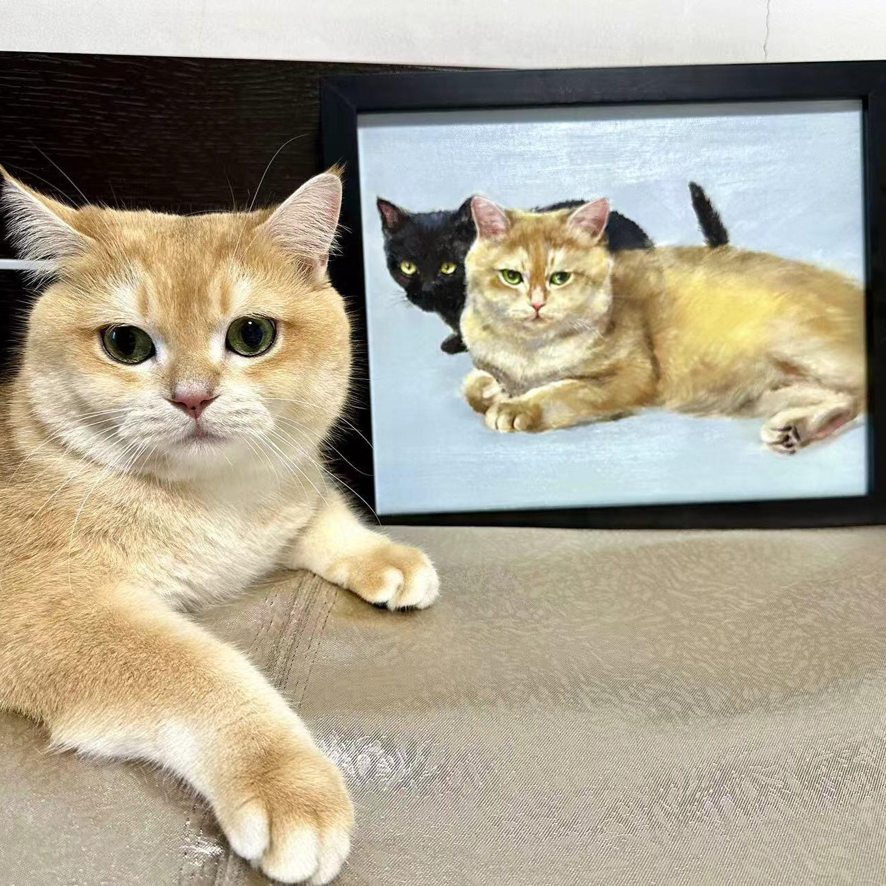 gifts for cat lovers