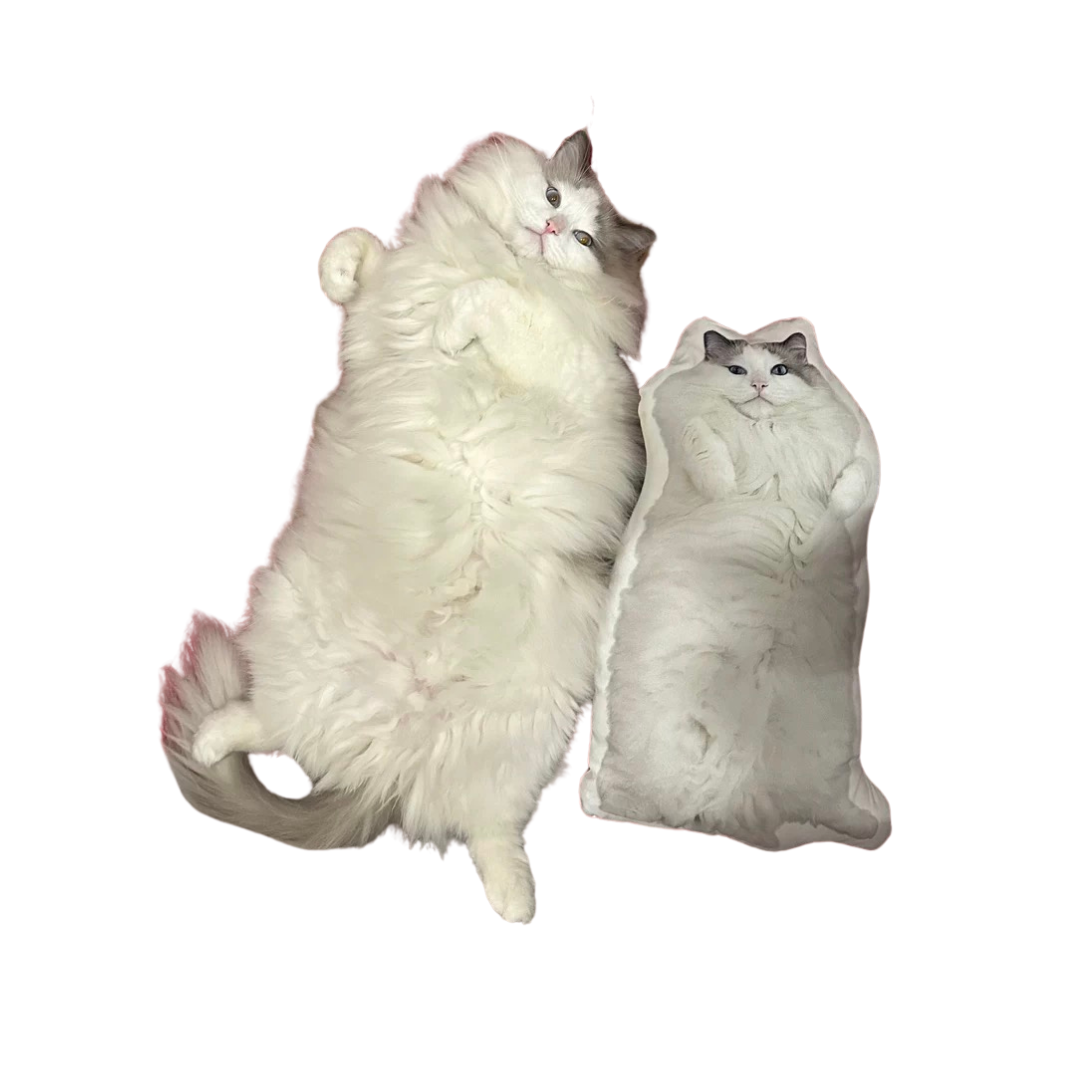 custom cat pillow
custom pillow
cat pillow
custom cat pillow
personalized photo pillow
personalized cat pillow