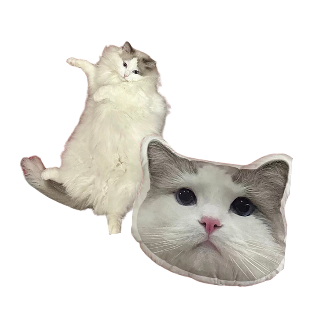 custom cat pillow
custom pillow
cat pillow
custom cat pillow
personalized photo pillow
personalized cat pillow
