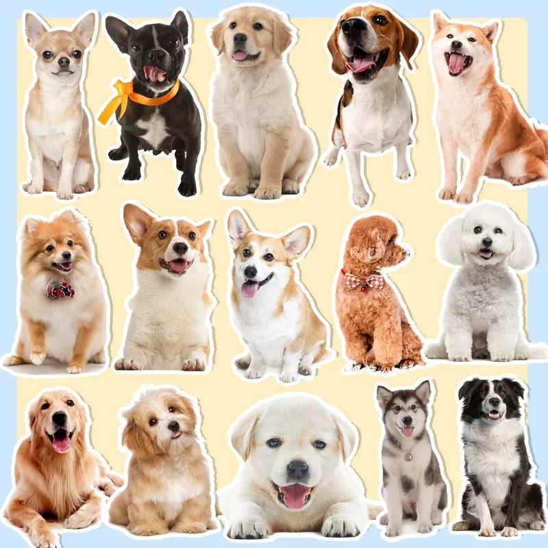 custom cat stickers
custom dog stickers
custom pet stickers