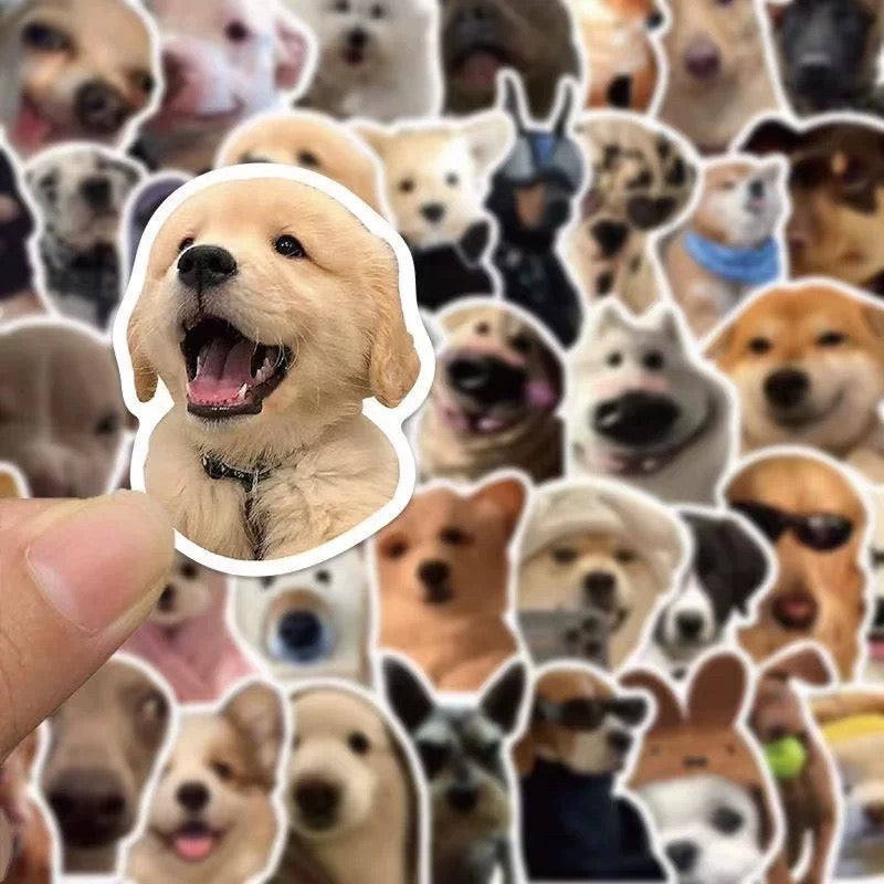 custom cat stickers
custom dog stickers
custom pet stickers