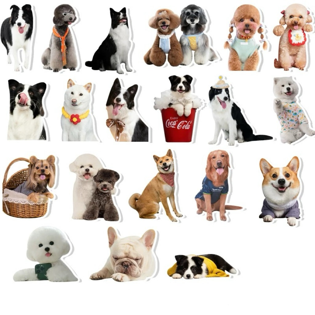 custom cat stickers
custom dog stickers
custom pet stickers