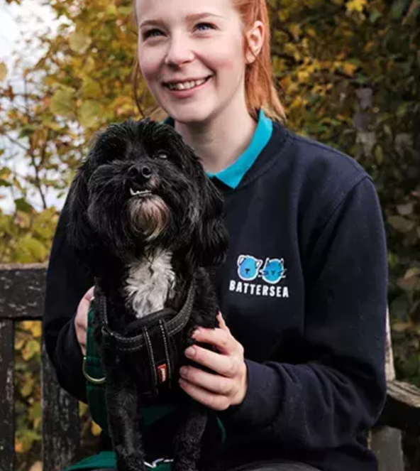 animals that need help
Battersea's rescue dog