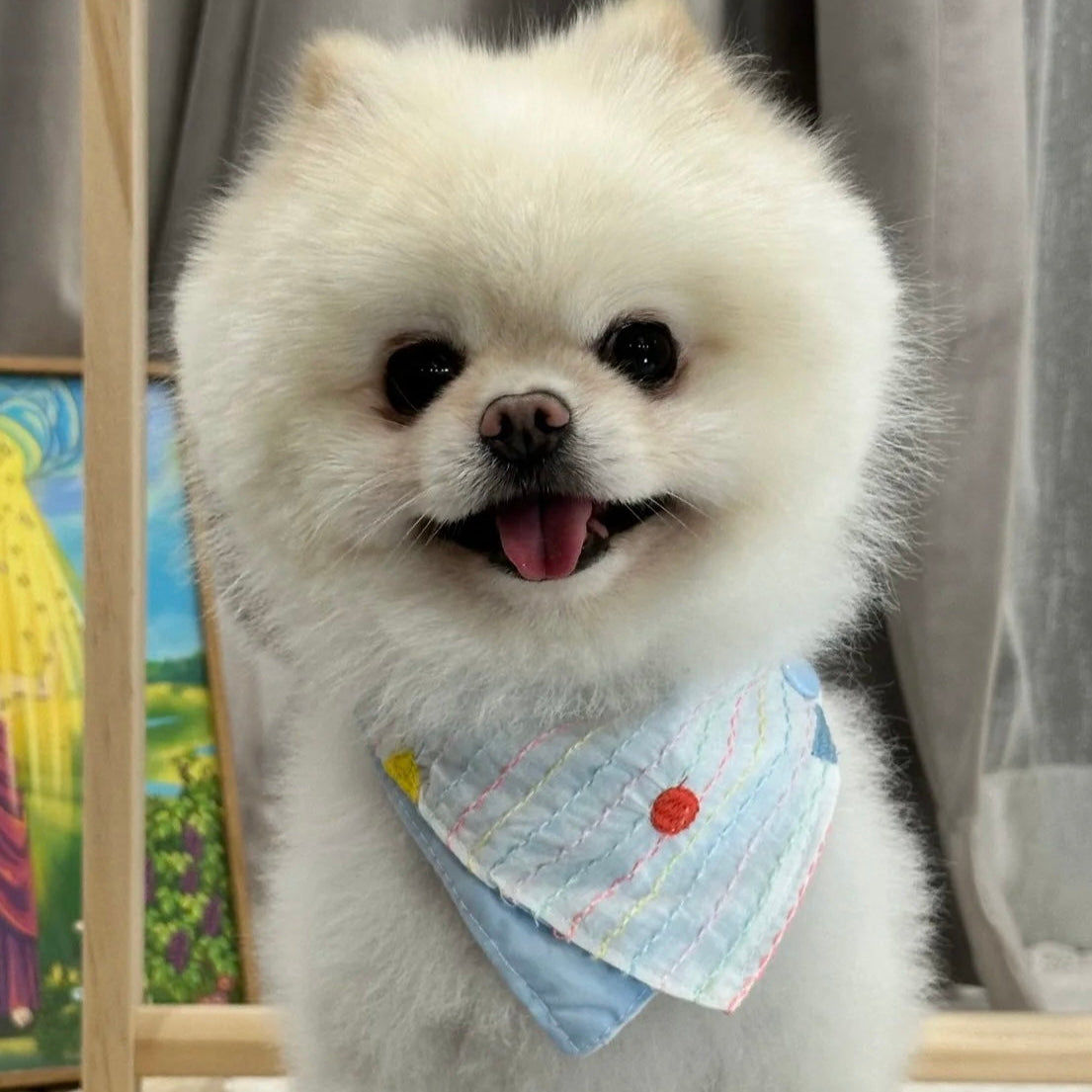 festive dog bandana
Rainbow Line Pet Bandana
Rainbow Line dog Bandana
Rainbow Line cat Bandana
Rainbow Line blue Bandana