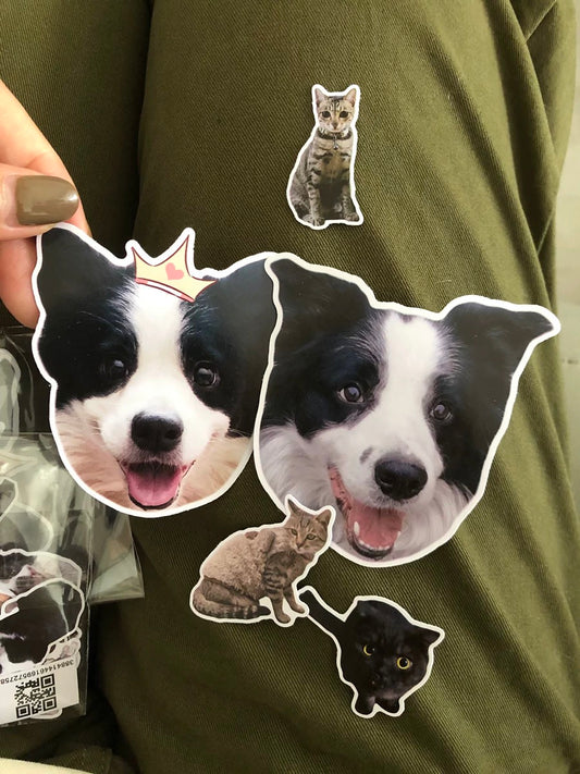 Budget-Friendly Unique Custom Pet Gifts for Every Pet Lover