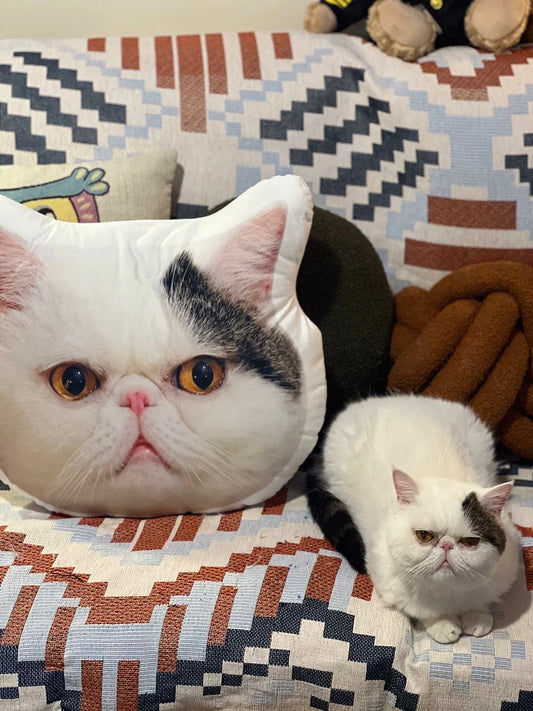 Why This Custom Pet Pillow is Paw’s New Favorite