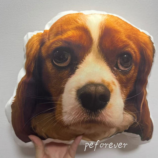 Ralf’s Custom Story - Why Personalized Dog Pillow Makes the Perfect Gift