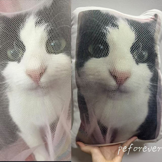 Let's Honoring Bella with a Custom Cat Pillow