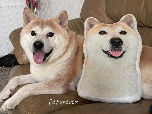 Share Lulu’s Joy with Her Custom Dog Pillow