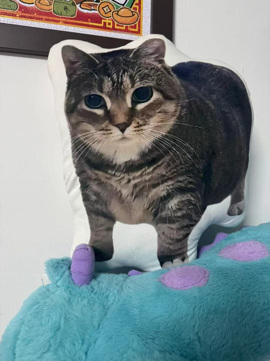 OIIA’s Spin-to-Snuggle: Crafting Viral Cat into Custom Pillows