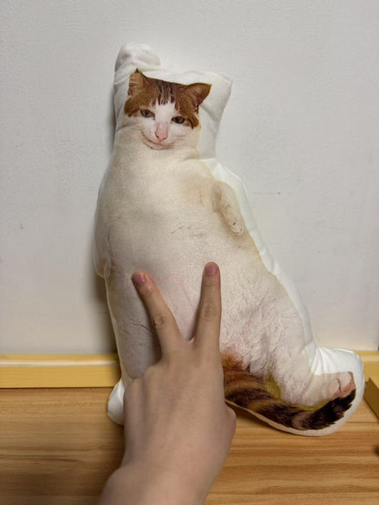 Uncle Bao’s Belly-Up Bliss: Crafting Smiles into Custom Cat Pillows