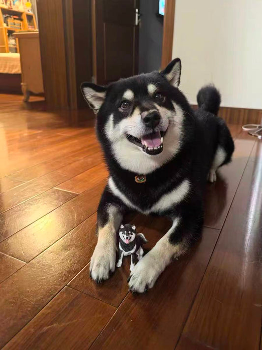 Custom Shiba Inu Sculpture — A Birthday Gift From Dog Lovers