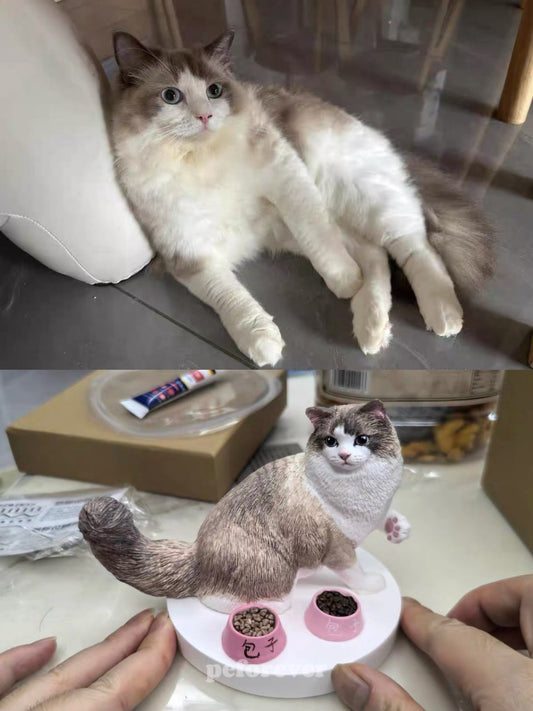 Custom Ragdoll Cat Sculpture — How We Capture Ragdoll's Every Detail