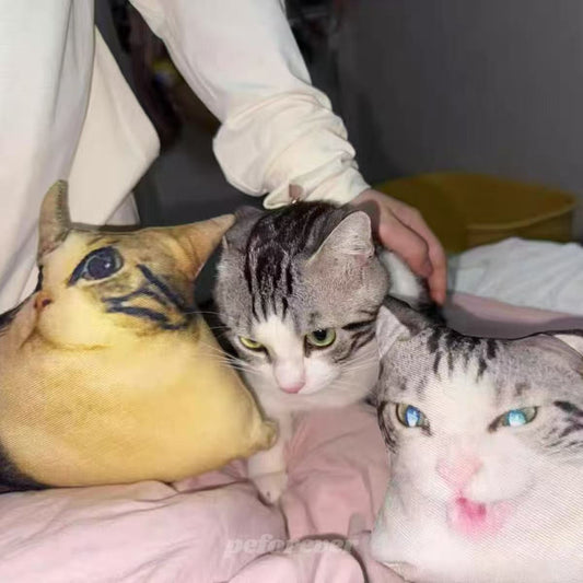 Funny Ugly Pillows: The Most Popular Custom Pet Gift of 2025