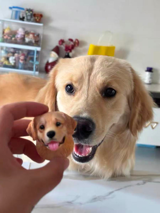 How We Custom A Golden Retriever Sculpture Magnet As A Unique Gift