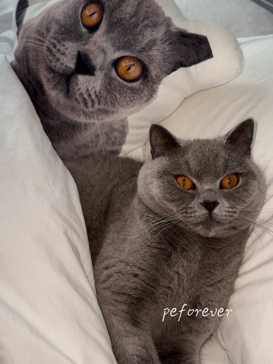 Turn Mitten’s Personality into a Keepsake with Custom Cat Pillow