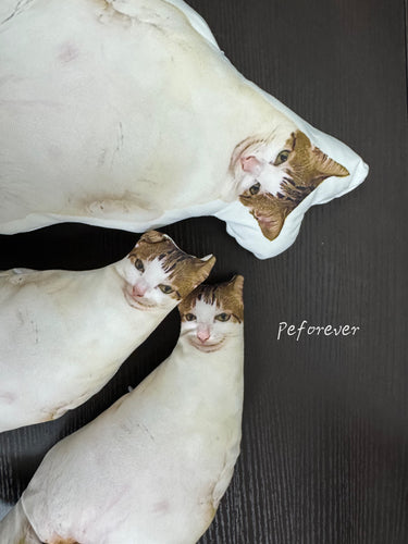 Let's Bring Uncle Baobao Home with Custom Cat Pillows