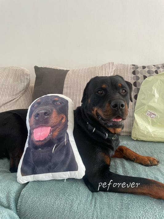 Custom Pet Pillows – A Heartwarming Gift for Marley