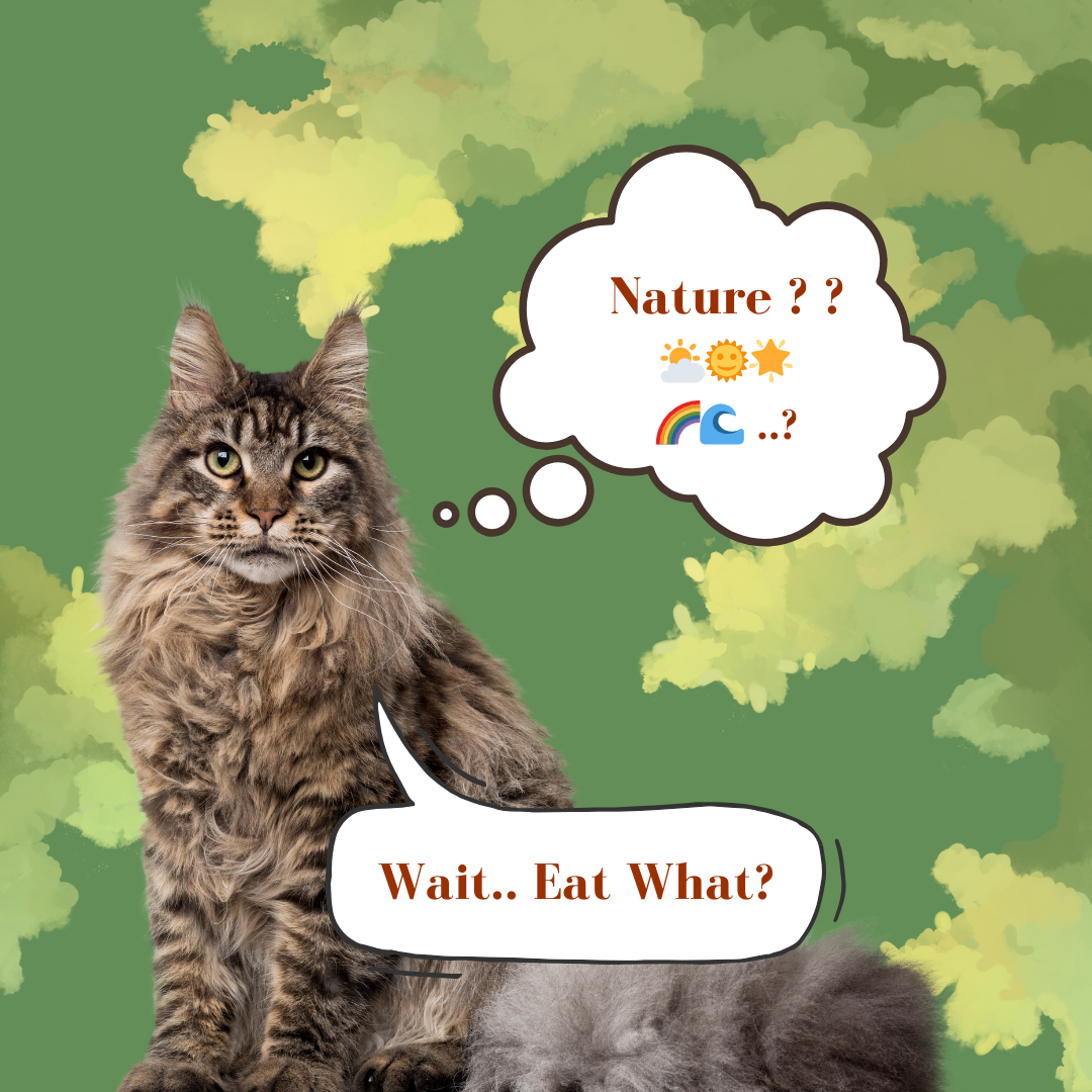 a cat say:"nature? Wait..Eat What?"