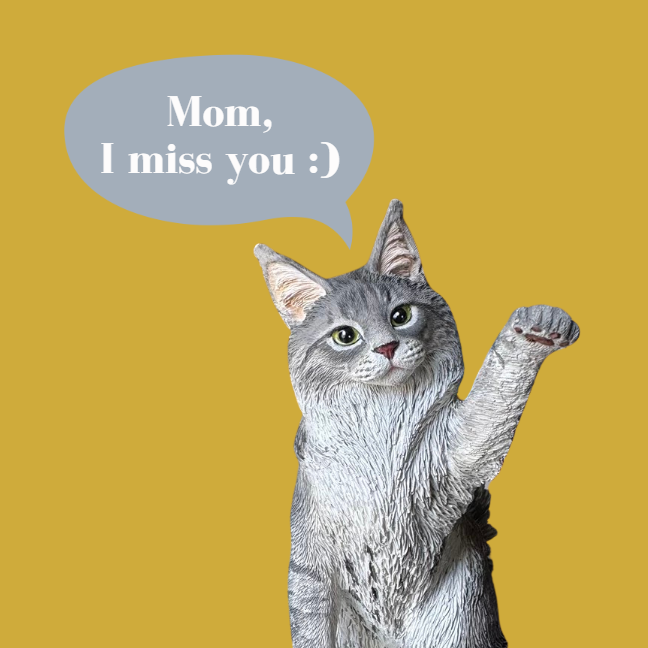 a cat say:"mom i miss you"