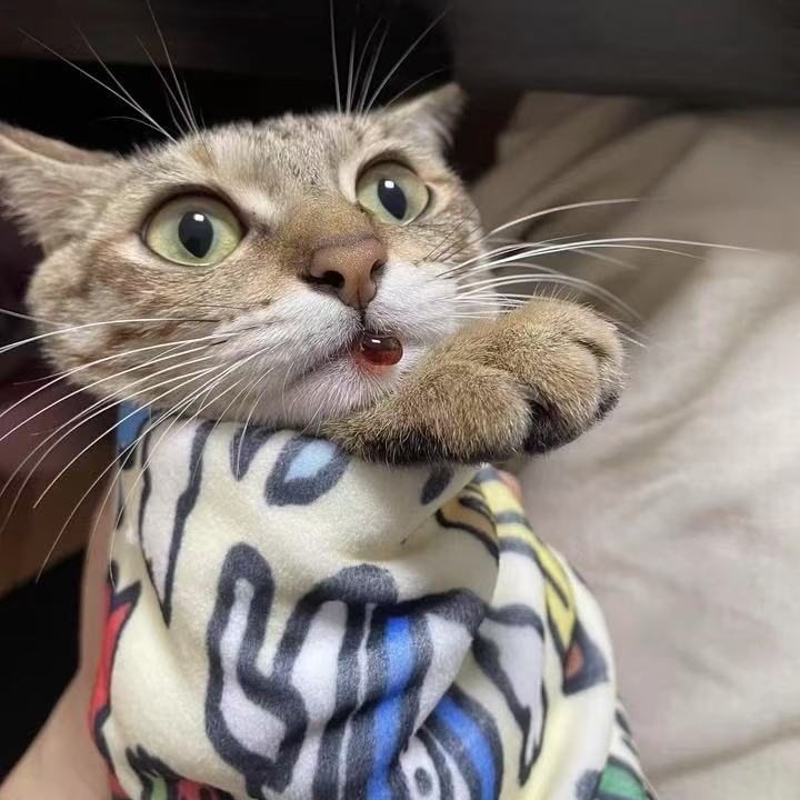 Useful Helper - Magic Pet Tools