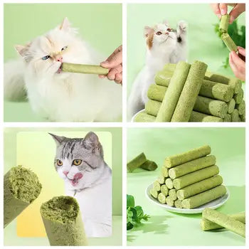 Cat Grass Chew Stick