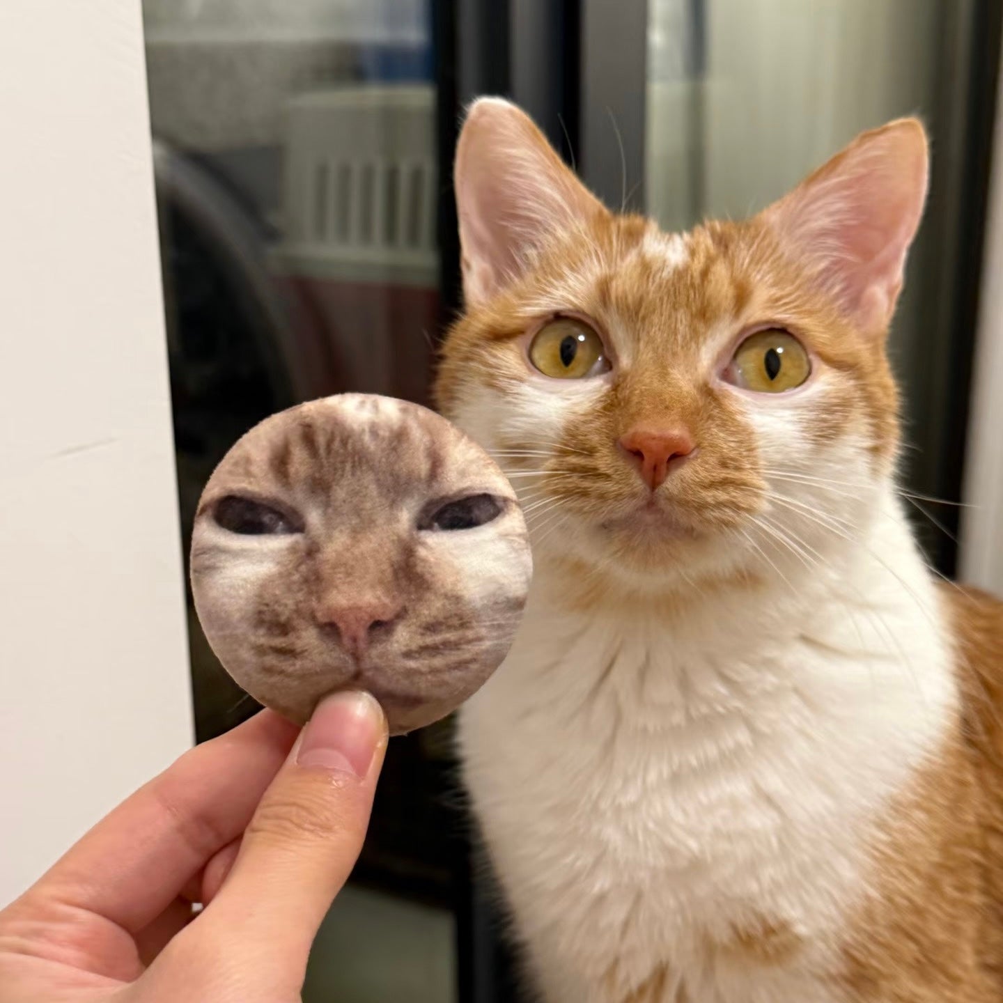 Custom Plush Pet Pin