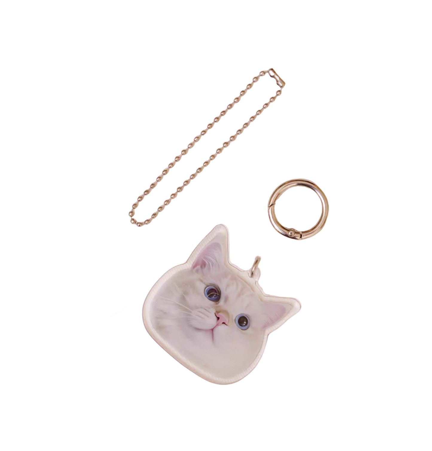 Custom Acrylic Pet Portrait Keychain